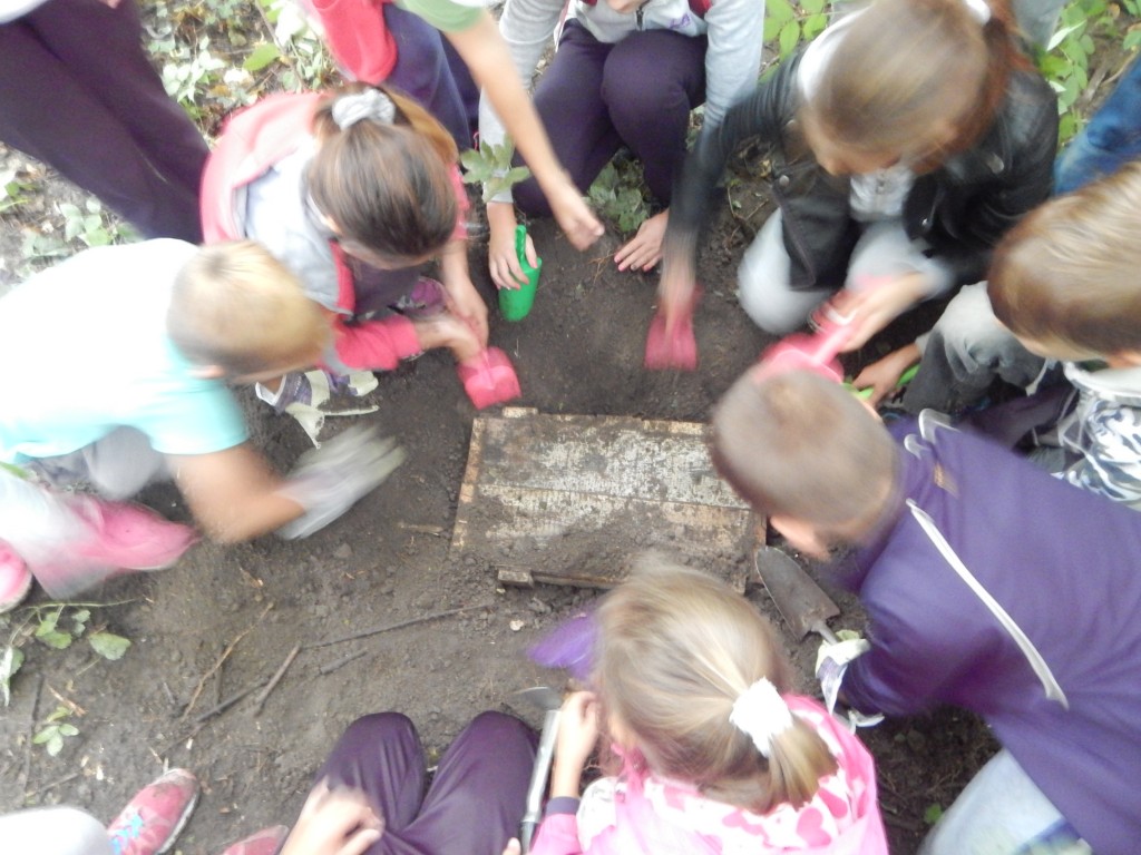 Rok 2016 v obrázkoch